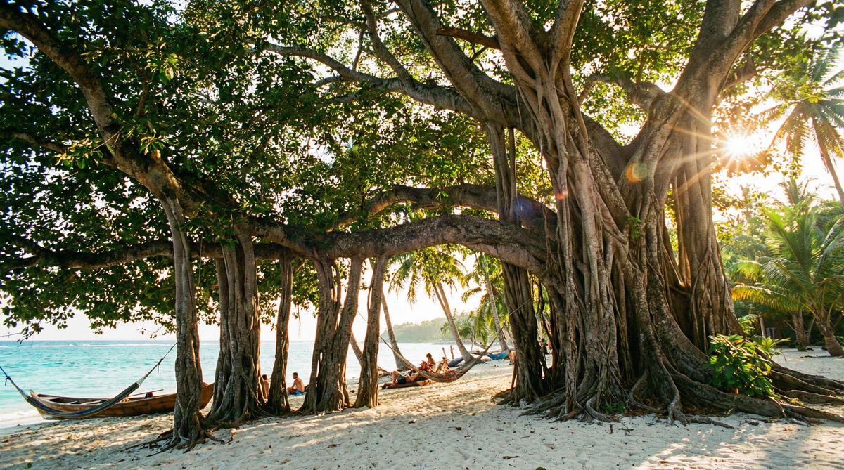 国产视频古榕树视频